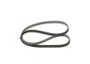 V-Ribbed Belt -