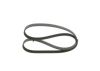 V-Ribbed Belt -