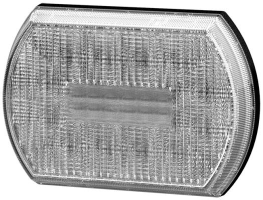 Tail Light Assembly -