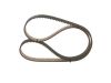 Timing Belt -