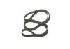 V-Ribbed Belt -
