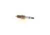 Spark Plug -
