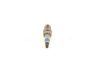 Spark Plug -