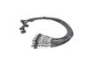 Ignition Cable Kit VW
