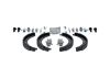 Brake Shoe Set, parking brake -