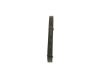 V-Ribbed Belt VAG - 038 903 137 S - 6DPK1215