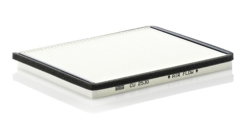 Filter, cabin air Ford Maverick,Nissan Primera