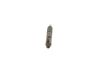 Nozzle and Holder Assembly -