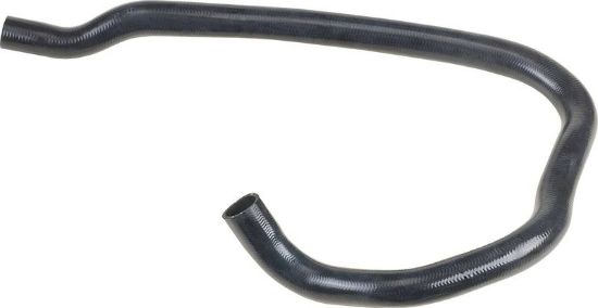 Radiator Hose -