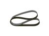 V-Ribbed Belt -