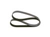 V-Ribbed Belt -