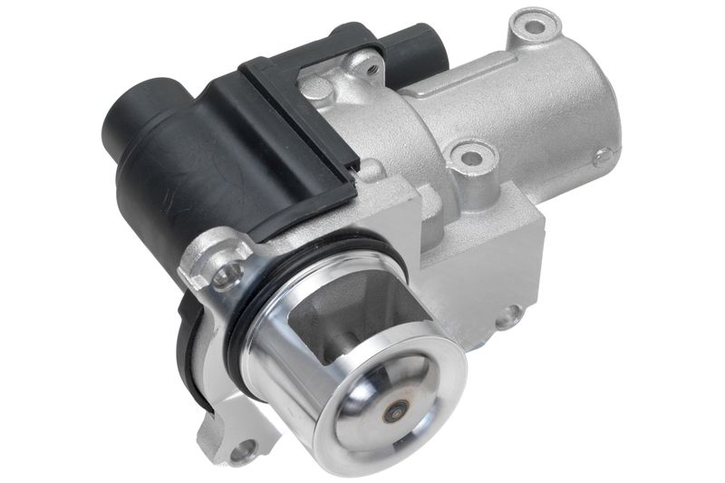 EGR Valve -