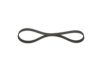V-Ribbed Belt -