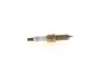 Spark Plug -