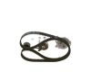 Water Pump & Timing Belt Kit -