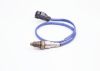 Oxygen Sensor -