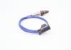 Oxygen Sensor -
