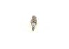 Spark Plug -