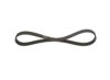 V-Ribbed Belt -