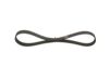 V-Ribbed Belt -