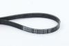 V-Ribbed Belt VAG - 03L 119 137, FORD - 1 353 946