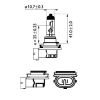 Bulb, spotlight H11 X-tremeVision Pro150 1tk +150% valgus