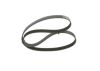 V-Ribbed Belt -