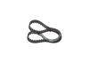 Timing Belt -