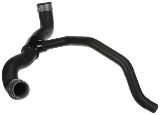 Radiator Hose -