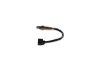 Oxygen Sensor -