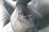 Flex Hose, exhaust system MERCEDES-BENZ - 204 490 00 20