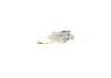 Alternator Regulator -