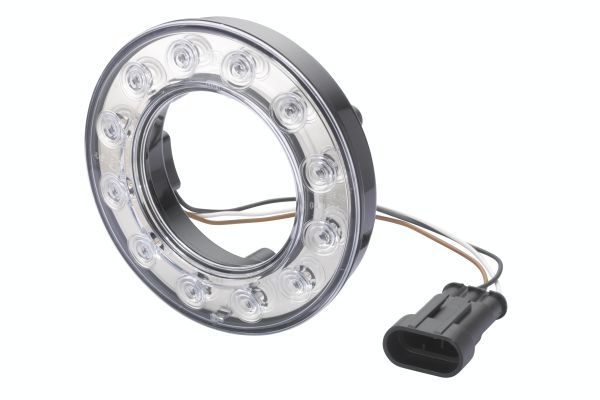 Tail Light Assembly -