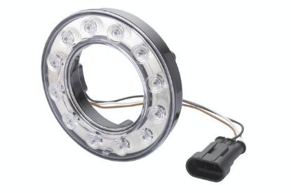 Tail Light Assembly -