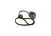Water Pump & Timing Belt Kit -