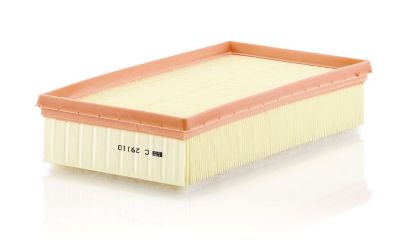 Air Filter PSA - 98 000 975 80
