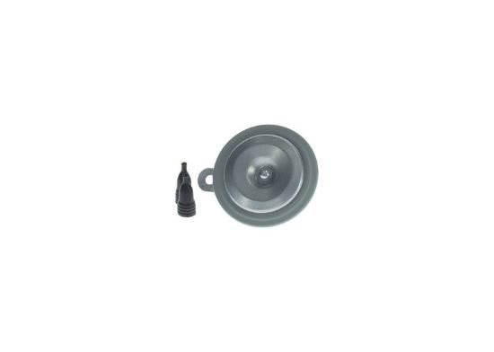Signal Horn -
