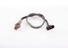 Oxygen Sensor -