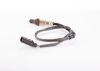 Oxygen Sensor -