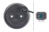 Tail Light Assembly -