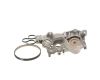Water Pump & Timing Belt Kit -