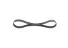 V-Ribbed Belt -
