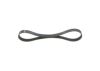 V-Ribbed Belt -