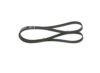 V-Ribbed Belt -