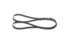 V-Ribbed Belt -