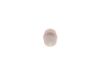 Fuel Filter -