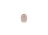Fuel Filter -