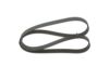 V-Ribbed Belt -