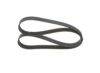 V-Ribbed Belt -