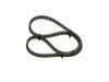 Timing Belt -